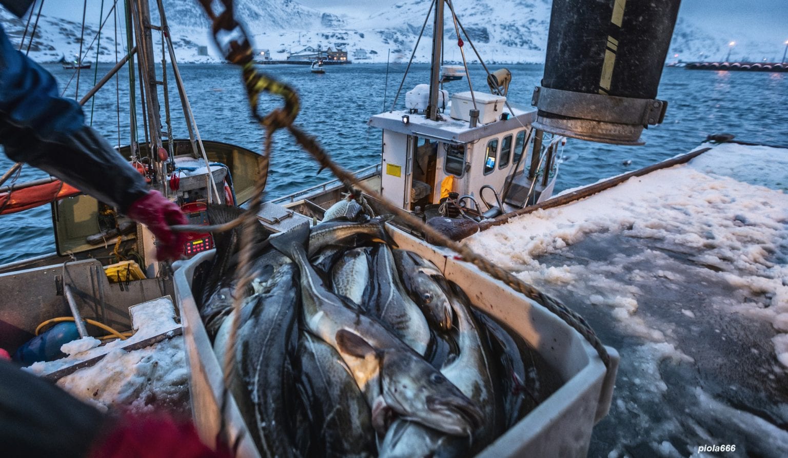 Sustainable Fisheries? Improvement In Fishery Management