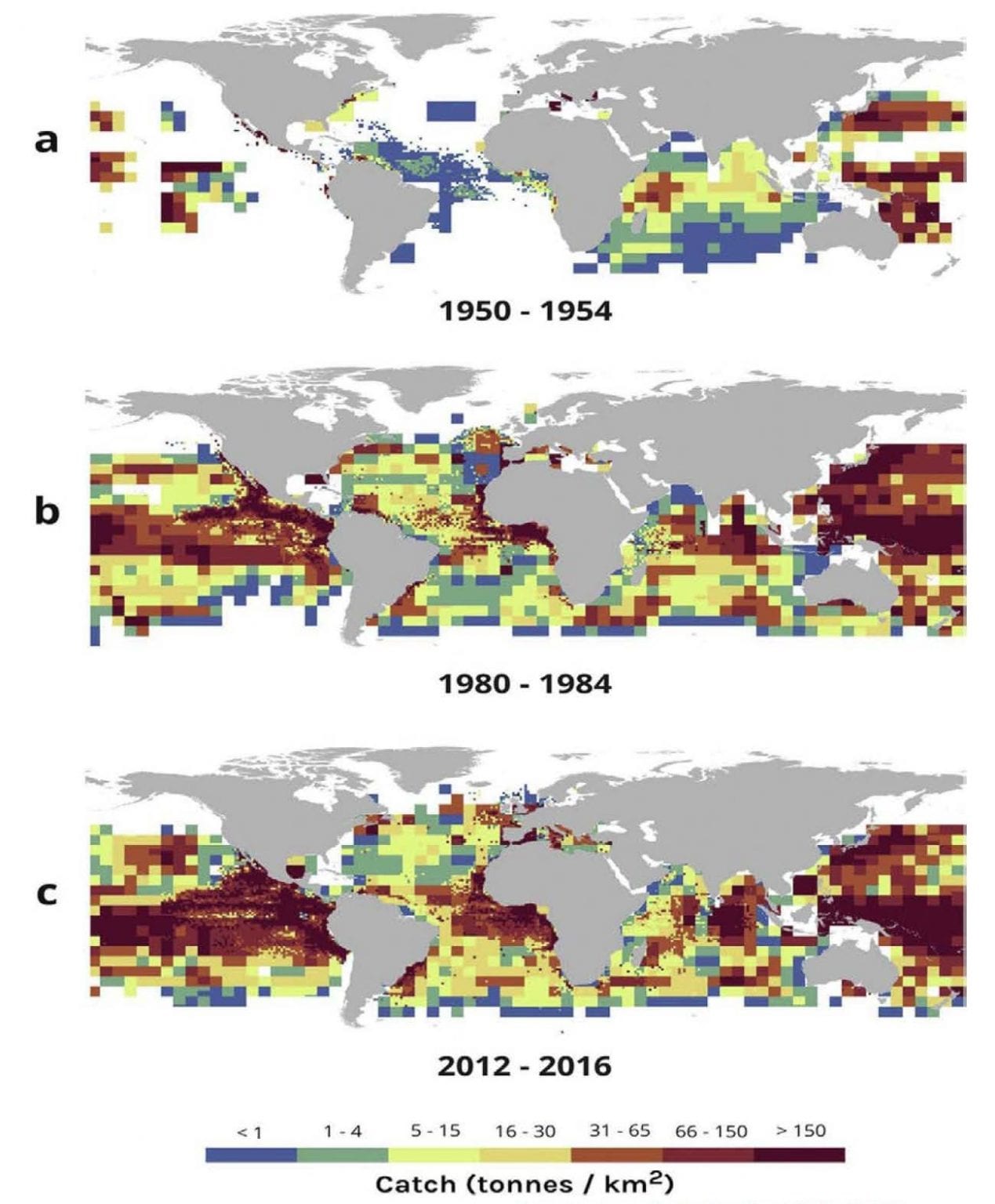 Sustainable Fisheries? Improvement In Fishery Management