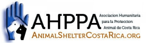 AHPPA | Animal Shelter Costa Rica | AnimalShelterCostaRica.org