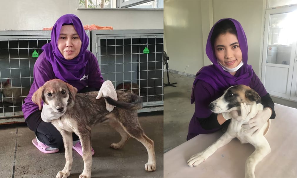 Drs. Zahra and Razia - Afghani veterinarians