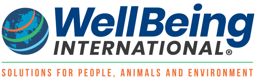 WellBeing International