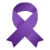 Purple Ribbon in recognition of Domestic Violence Awareness Month