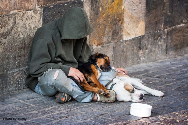 the-homeless-and-their-pets-wellbeing-international