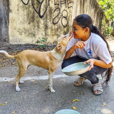 BCI volunteer feeding a street dog