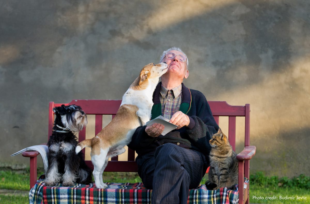 Man with dogs & cat | Photo credit: Budimir Jevtik