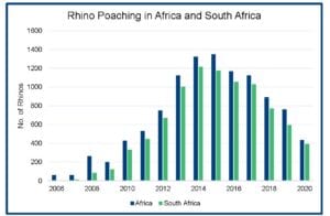 Rhino Decline Shock – WellBeing International