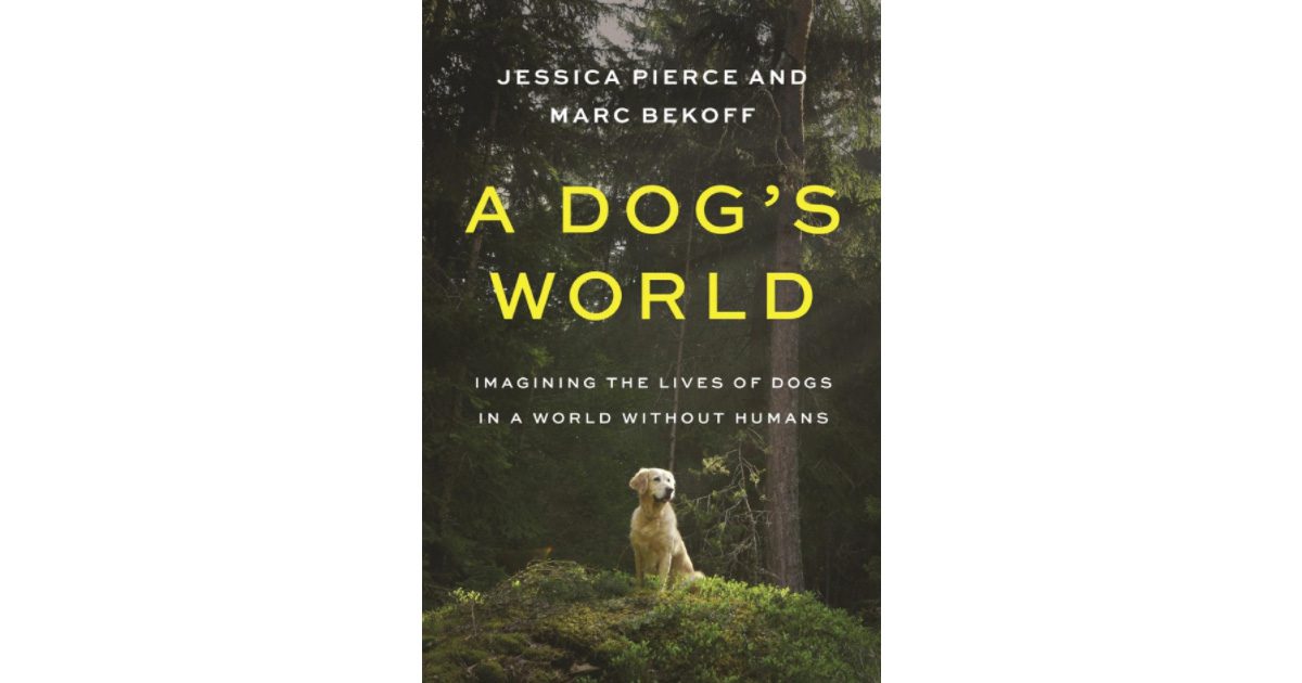 A Dog's World: Imagining the Lives of Dogs in a World without Humans