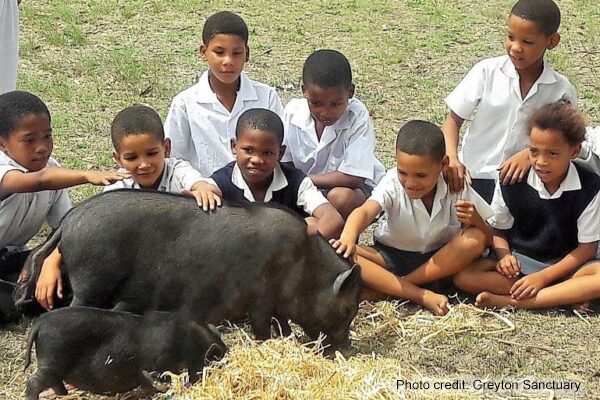 Greyton-Sanc-Children-with-Pigs-WO-Leashes-Bright-wCreds-600x400