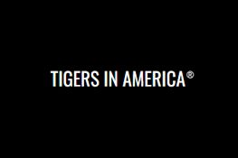 Tigers in America®