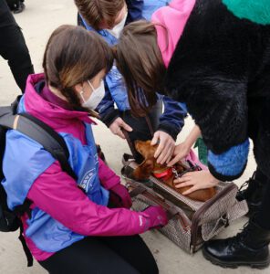 Helena who escaped Kherson with only her dog Kuzma gets a pet carrier from Save the Dogs. Dated 3/20/22. Credit: Save the Dogs & Other Animals.