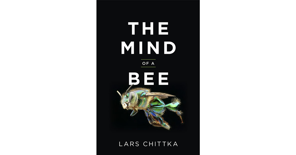 Book Cover: The Mind of a Bee by Lars Chittka, PhD