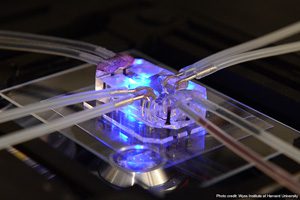 Wyss Institute at Harvard University Lung on a Chip Microscope