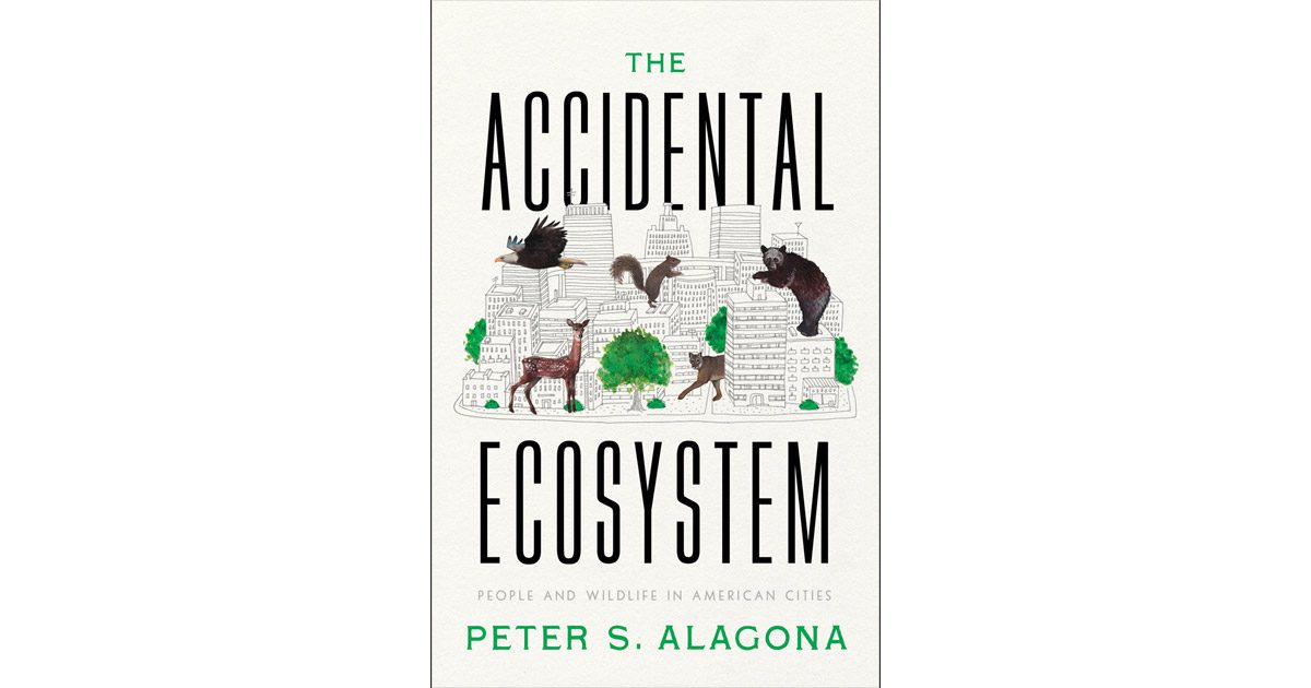 Book cover of "The Accidental Ecosystem"