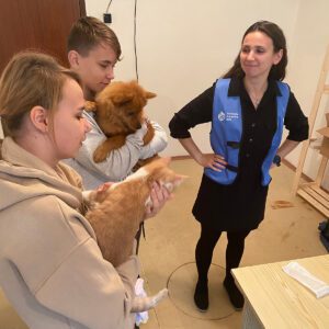Sloboda Zvierat participated with Jana Morvayová and the Slovak Humanitarian Council in treating 70 animals accompanying Ukraine refugees currently residing in a refugee camp in Gabckiovo, Slovakia. 
