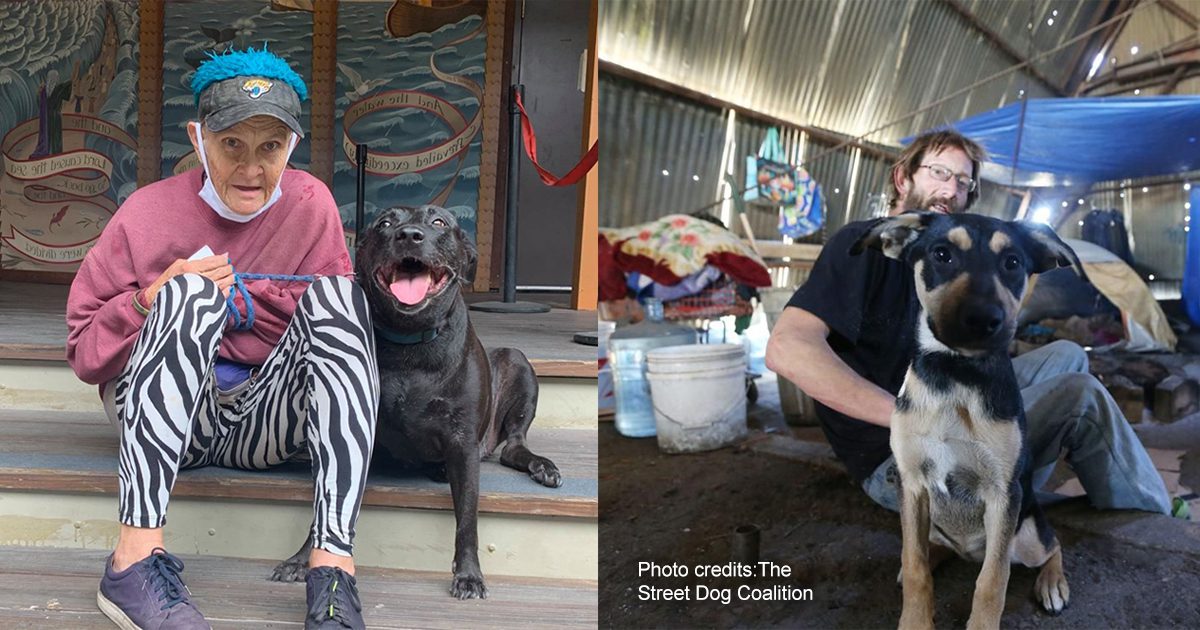 SDC clients and their owners | Photo credit: Street Dog Coalition