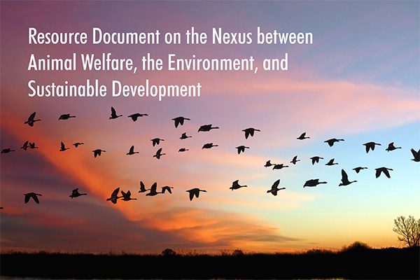 Cover, Resource Document on the Nexus between Animal Welfare, the Environment, and Sustainable Development