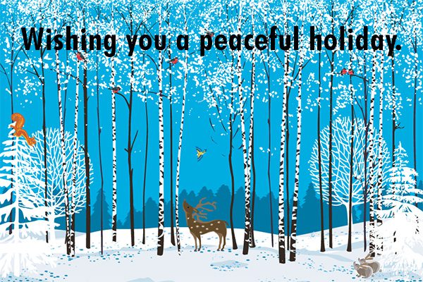 Wishing you a peaceful holiday.