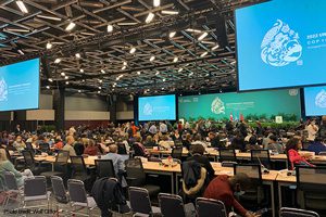 A scene from COP15 | Photo credit: Wolf Gordon Clifton