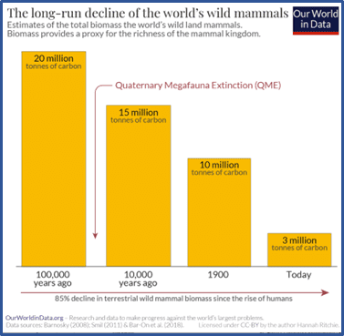 Graph, "The long-run decline of the world's wild mammals," credit: Our World in Data