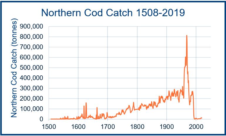 Chart showing Northern Cod Catch 1508-2019