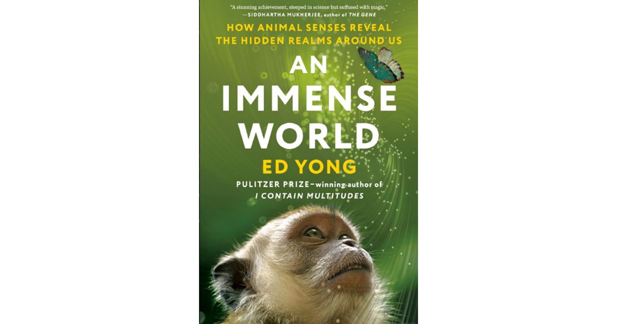 Book cover of "An Immense World" by Ed Yong