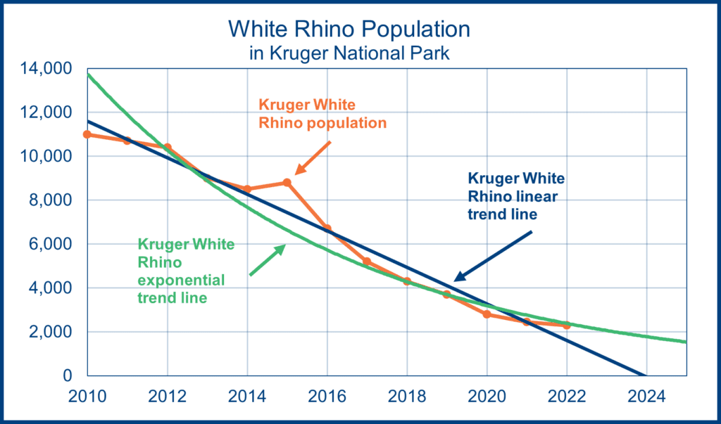 Rhino Conservation in Africa – WellBeing International