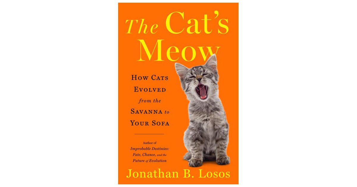 The Cat's Meow by Jonathan B. Losos: 9781984878700