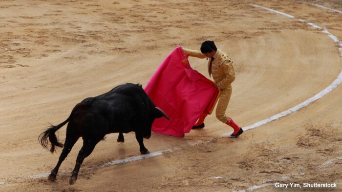 Bullfight in Bogota, Columbia | Photo credit: Gary Yim