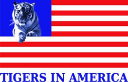 Tigers in America