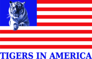 Tigers in America