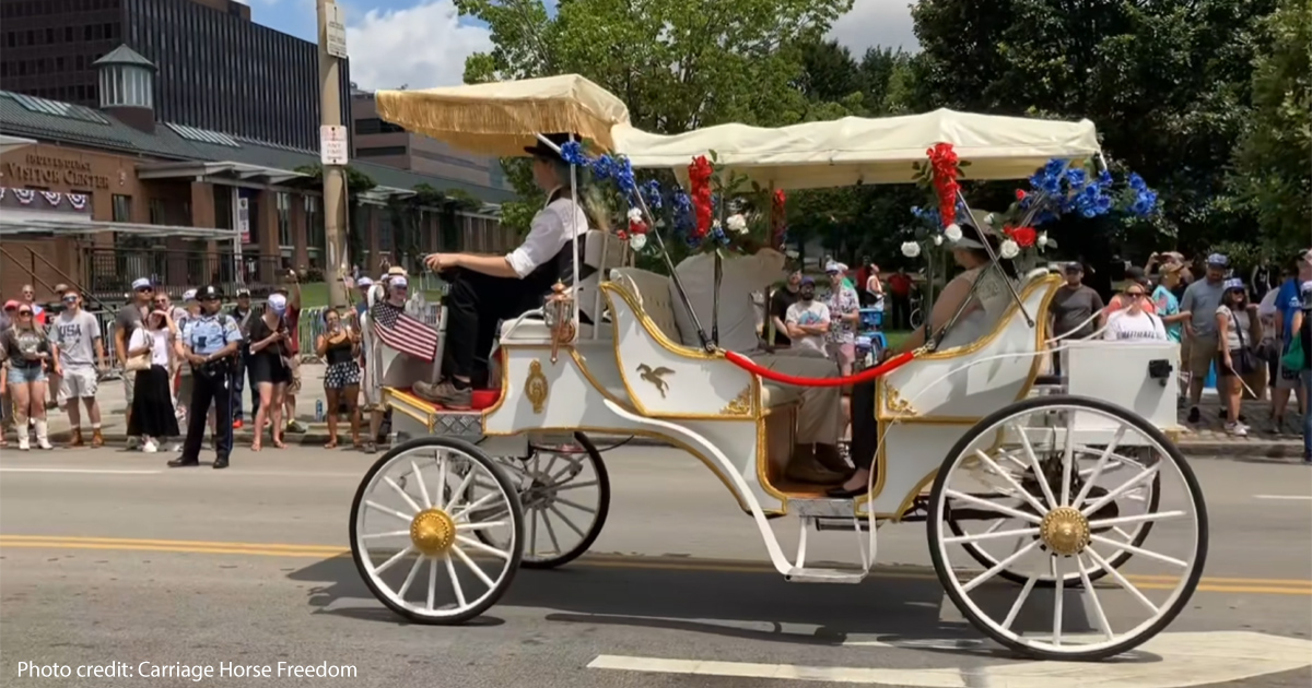 Horseless Carriage | Photo credit: Carriage Horse Freedom