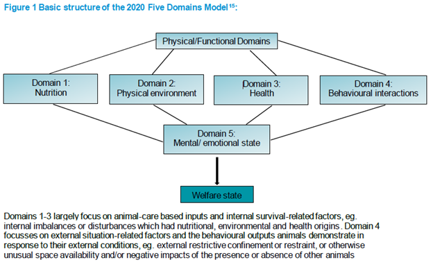 Figure 1 Basic structure of the 2020 Five Domains Model | Domains 1-3 largely focus on animal-care based inputs and internal survival-related factors, eg. internal imbalances or disturbances which had nutritional, environmental and health origins. Domain 4 focuses on external situation-related factors and the behavioural outputs animals demonstrate in response to their external conditions, e.g., external restrictive confinement or restraint, or otherwise unusual space availability and/or negative impacts of the presence or absence of other animals.