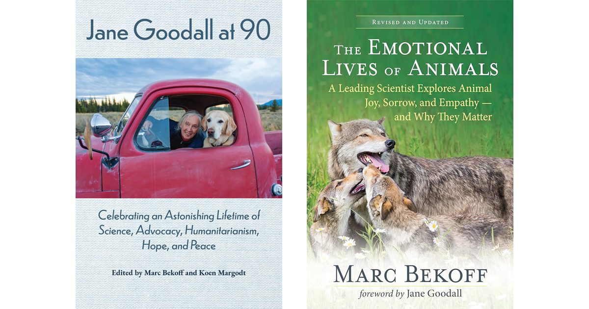 Book covers of Jane Goodall at 90 & The Emotional Lives of Animals, 2024 Revision