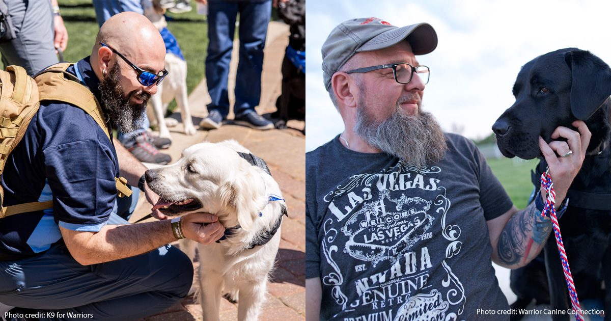 Service dogs and their veterans | Photo credits: K9 Warriors and Warrior Canine Connections