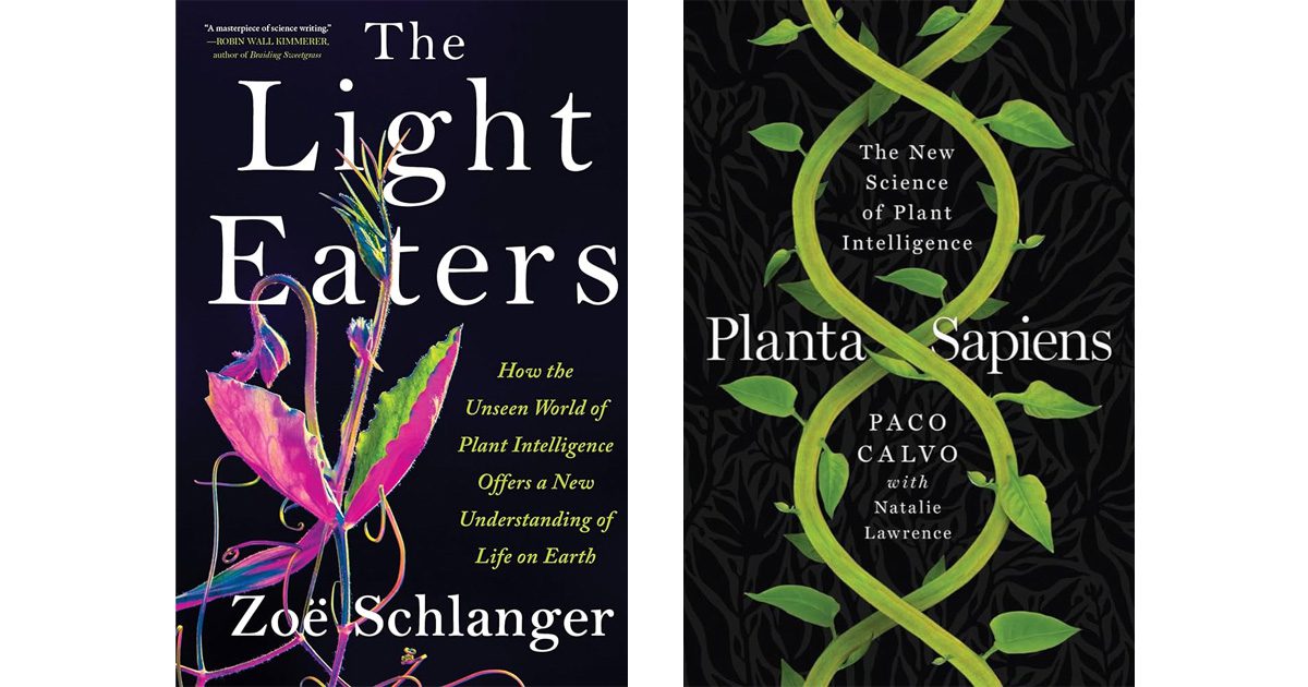 Book covers of The Light Eaters by Zoe Schlanger & Planta Sapiens by Paco Calvo with Natalie Lawrence