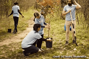 Family planting a tree | Credit: DC Studio, Shutterstock