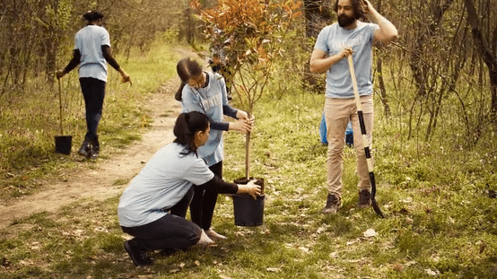 Family planting a tree | Video credit: DC Studio, Shutterstock