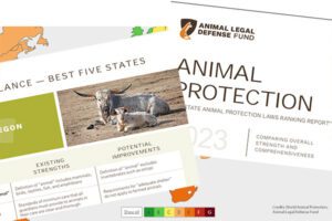 Lists and reports from World Animal Protection and American League Defense Fund