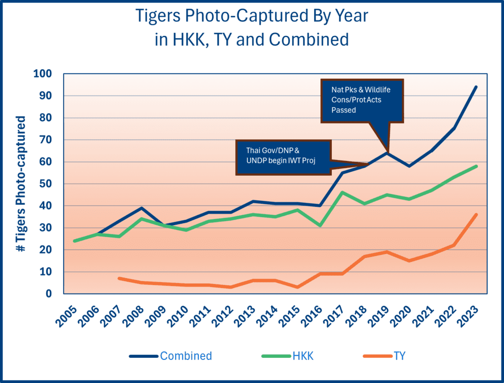 Chart: Tigers Photo-Captured by Year in HKK, TY and Combined