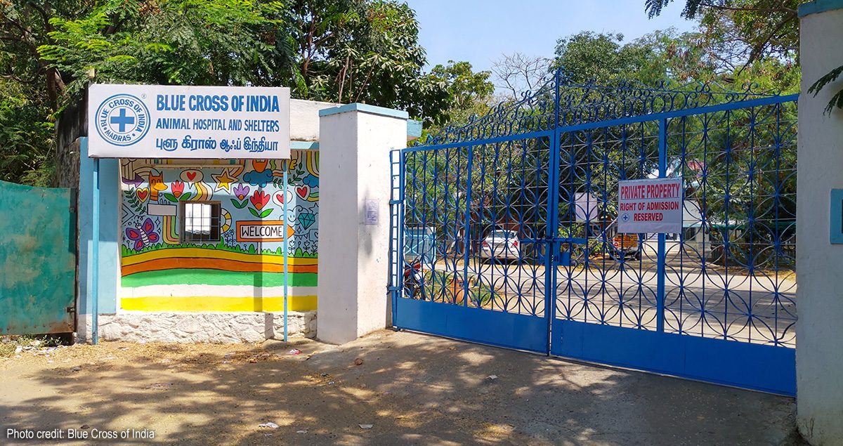 Entrance of Blue Cross of India | Photo credit: Blue Cross