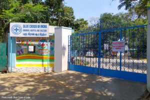 Entrance of Blue Cross of India | Photo credit: Blue Cross