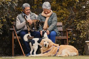 A couple with a dog and cat | Credit: KobusLouw, iStock