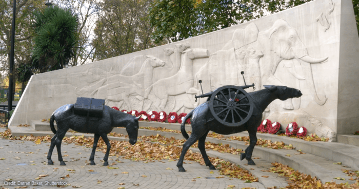 Animals in War Memorial | credit: Darren Baker, Shutterstock