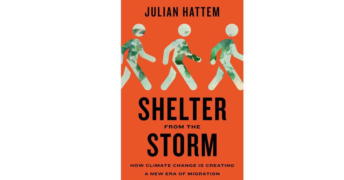 Shelter from the Storm book cover