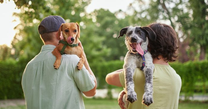 Love, portrait and family with dog at animal shelter for adoption at kennel Credit: boytsov, iStock