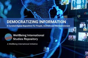Democratizing Democratizing