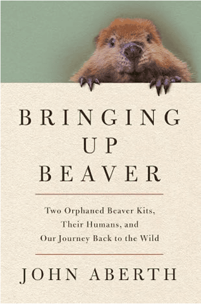 Bringing Up Beaver book cover by John Aberth