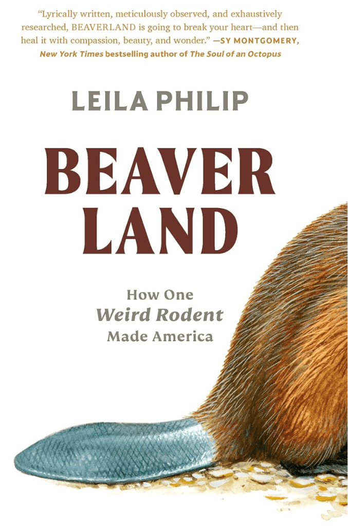 Beaver Land book cover by Leila Philip